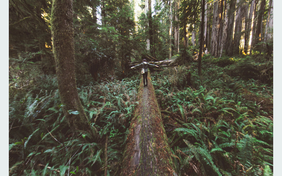 Woman standing on a tree